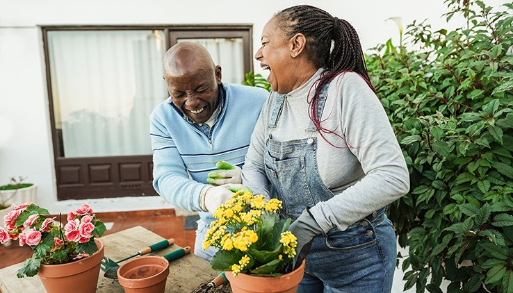 What's Included in Estate Planning?