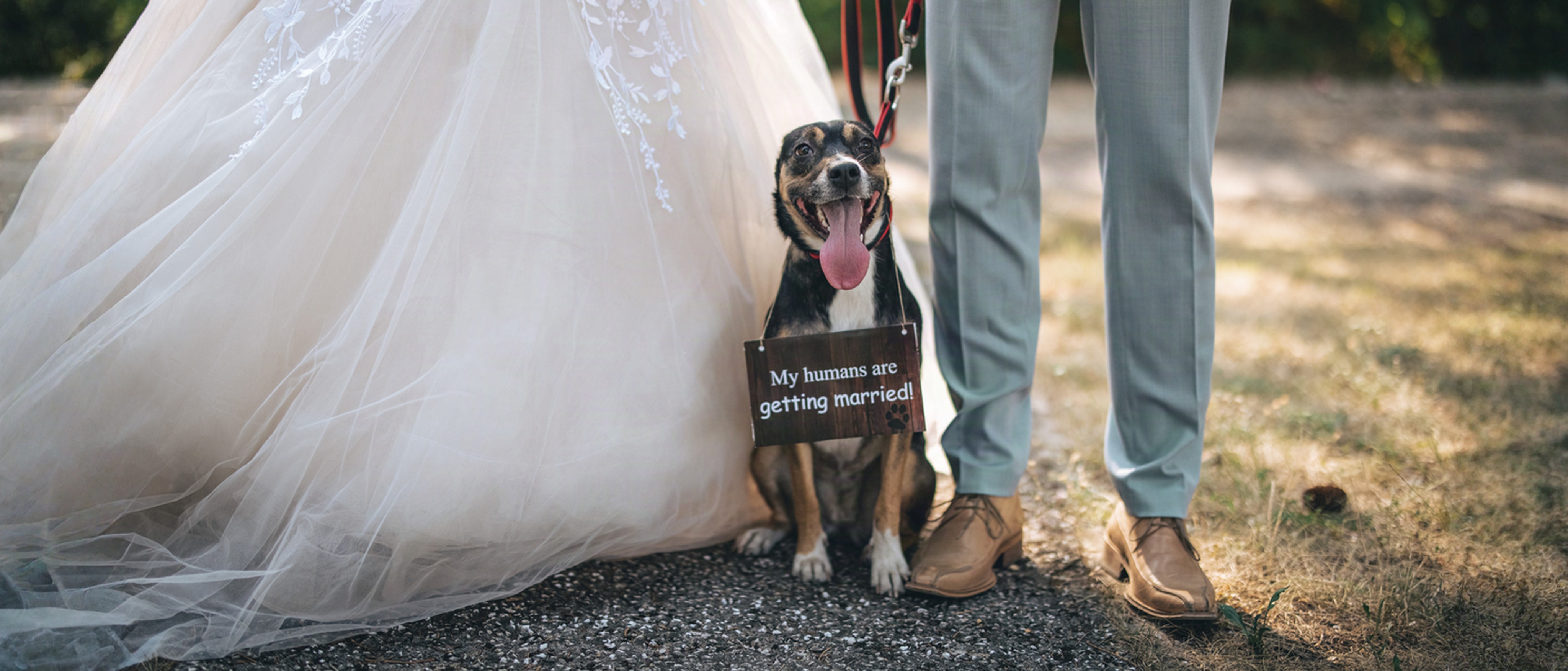 easy wedding loan in new hampshire