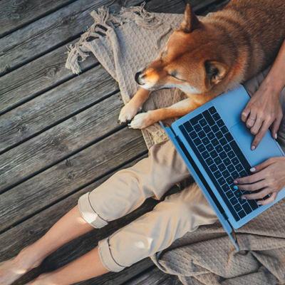 Person sitting on the deck looking at their laptop with a dog sitting next to them