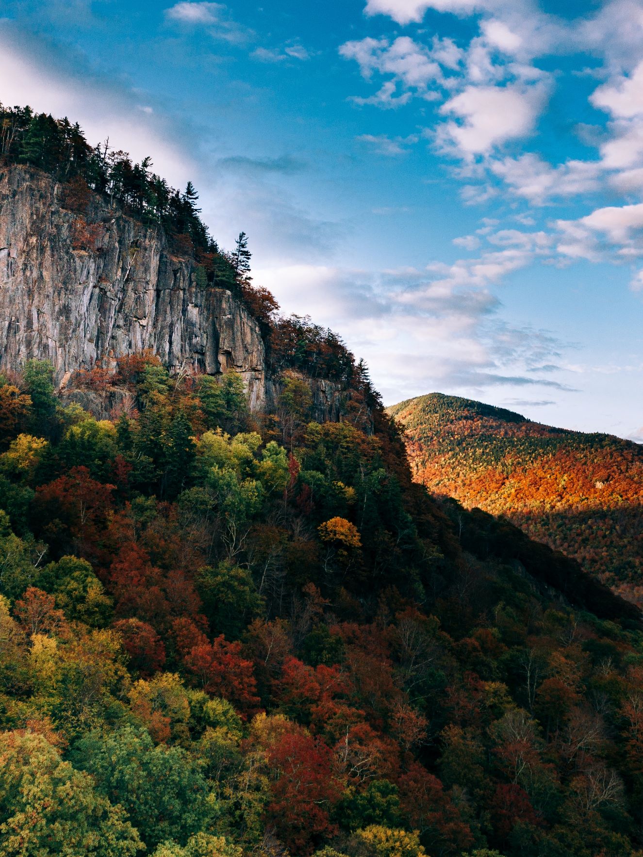 603 Checking Banner Image of Mountains