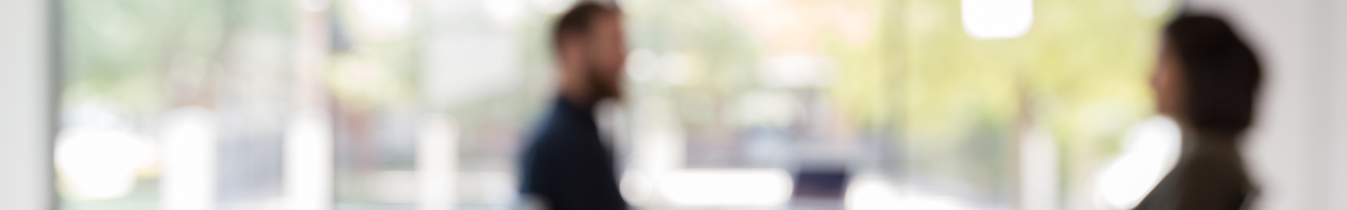 A man and a woman meeting in an office, the image is blurred to show their silhouettes