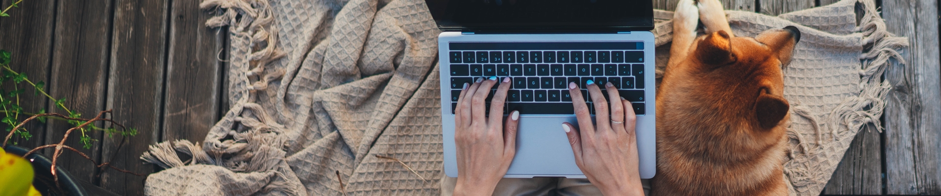 Personal loan banner person on laptop with dog